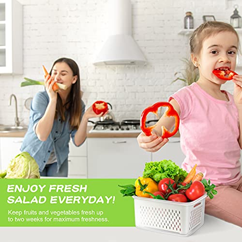TBMax Fruit Storage Containers for Fridge Organizers and Storage, 4 Pack Large Produce Saver with Airtight Lid & Colander for Berry Lettuce Salad Vegetable Storage, Refrigerator Organizers
