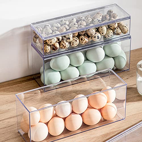 Large Transparent Flatware Tray Kitchen Drawer Organizer With Lid and Drainer - Plastic Kitchen Cutlery Tray and Utensil Storage Container with Cover - Dust-proof Dinnerware Holder - color: Large transparent