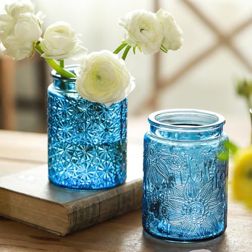 Set of 2 Vintage Blue Glass Storage Jars, 23.7 oz Mason Jars with Lids for Kitchen Pantry, Candy, Flour, Coffee, Pet Food, Decorative Kitchen & Home Decor (Blue, 2 Pack) - color: Blue 2, size: 23.7 Ounces