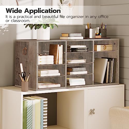 HOOBRO Countertop Mail Sorter Organizer, Wooden Literature Organizer, Student Mailbox for Classroom, Desktop Bill Organizer for Office Home School, 12 Compartments, Greige BG43WF01 - color: Greige