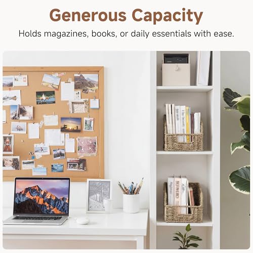 StorageWorks Wicker Baskets for Organizing, Pantry Organizers and Storage, Seagrass Storage Basket for Pantry Shelves, Natural, 2 Pack - color: Natural(Seagrass), size: 2x 8½"L x 10"W x 7½"H