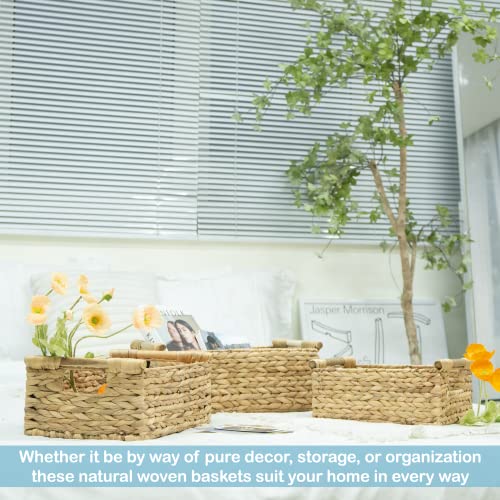 VATIMA Hyacinth Wicker Basket Set 3 size - Rectangular, Wooden Handles, Shelf Organizer, Natural Bins - color: Water Hyacinth, size: Set of 3 (Small, Medium, Large)