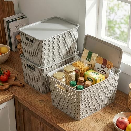 BINO | Plastic Storage Baskets with Lids, 22 Liter - 3 Pack, Natural Grey | THE WOVEN COLLECTION | Storage Basket for Shelves | Woven Storage Baskets for Organizing Bins | Pantry Shelf Organizer Bin - color: Natural Grey, size: 22L | 3-Pack