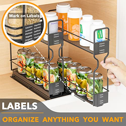 SpaceAid Pull Out Spice Rack Organizer for Cabinet, Heavy Duty Slide Out Seasoning Kitchen Organizer, Cabinet Organizer, with Labels, 5.2" W x10.75 D x10 H, 2 Drawers 2-Tier - style: Two 2"W Drawers, 2-Tier