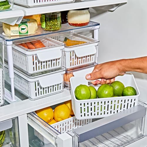 OXO Good Grips Produce Saver – Crisper Basket, 4.15 x 9.2 x 5.05 in, White - style: Crisper Basket
