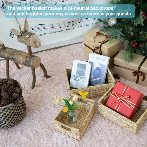 VATIMA Hyacinth Wicker Basket Set 3 size - Rectangular, Wooden Handles, Shelf Organizer, Natural Bins - color: Water Hyacinth, size: Set of 3 (Small, Medium, Large)