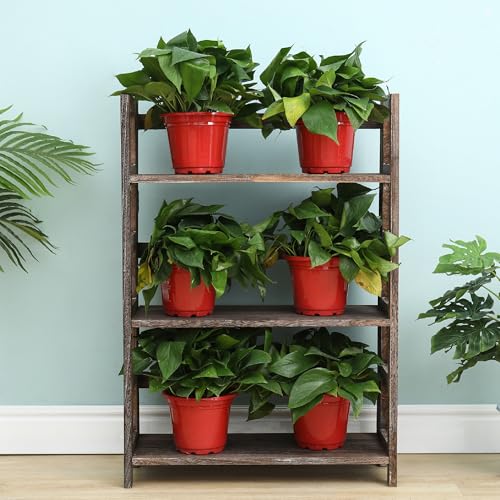 Proman Products - Hickory Bookshelf, Folding Bookshelf, Wooden Storage Shelves (3 Tiers, Rustic Brown) - size: 3 Tiers