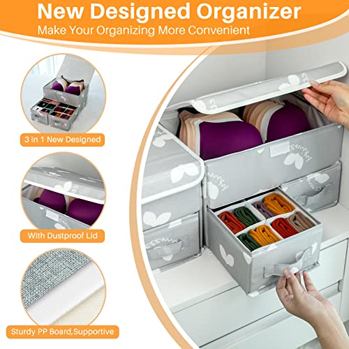 EASEVE 2 Pack Sock Underwear Drawer Organizer Divider - Closet Organizers and Storage Dresser Organizer Wardrobe Clothes Box Storage Bins with Lid for Bra, Socks, Leggings, Shirt, Panty (Grey) - size: 2 Pack