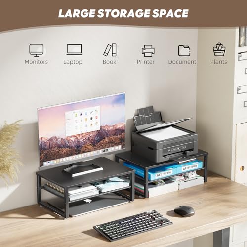 Ekisemio 2-Tier Computer Monitor Stand Riser, Desk Organizer for Monitor, Black