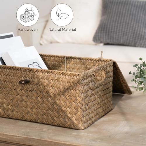 StorageWorks Wicker Baskets with Lid for Organizing, Seagrass Storage Baskets for Shelves, Decorative Box with Built-in Handles, Brown, Large, 1 Pack - color: Brown(Seagrass), size: 15"L × 11"W × 7"H