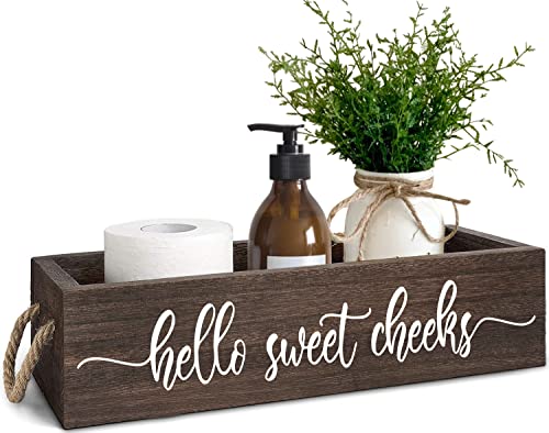 PZJIEAN 2 Sides Brown Funny Sayings Toilet Paper Bathroom Decor Box with Handle, Farmhouse Bathroom Decor Box for Toilet Paper - color: Brown