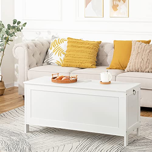HOOBRO Toy Box, Retro Wooden Look Storage Chest with Safety Hinge, Entryway Storage Bench Supports 220 lb, 39.4 x 15.7 x 18.9 Inches Toy Chest Organizer, Easy Assembly (White) - color: White, size: 39.4x15.7x18.9 Inch