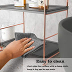 2-Tier Countertop Organizer Cosmetic Storage Rack Vanity Tray Stackable Standing Storage Shelf with Experience Manual(Rose Gold + Black) - color: Black + Rose Gold