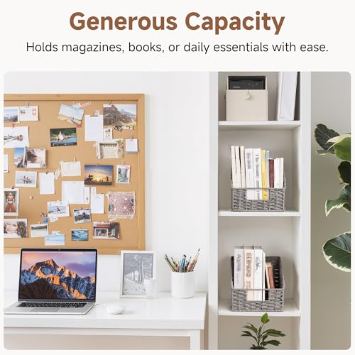 StorageWorks Wicker Baskets for Organizing, Pantry Organizers and Storage, Round Paper Rope Storage Basket for Pantry Shelves, Gray, 2 Pack - color: Gray(Paper Rope), size: 2x 8½"L x 10"W x 7½"H