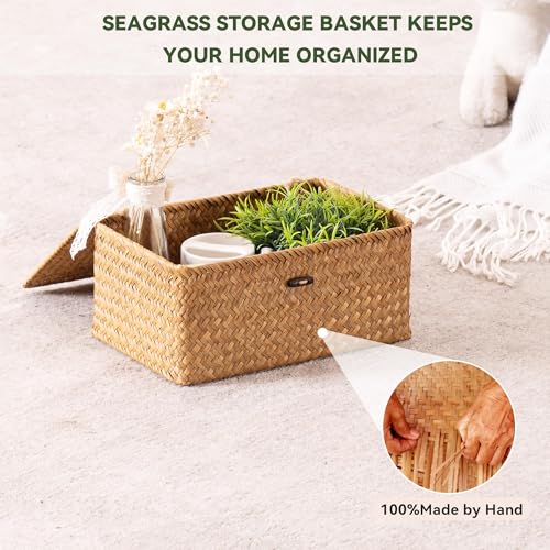 Nonam Storage Basket with Lid, Natural Seagrass Bin with Lid Set of 3, Shelf Baskets Multipurpose Container for Boho Decoration, Rectangular Household Storage Boxes for Home Organization-Natural - color: Natural* Set of 3