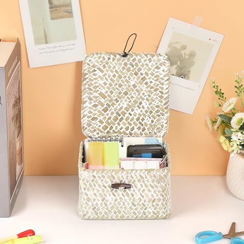 Hipiwe Wicker Shelf Baskets with Lid Handwoven Seagrass Storage Box Decorative Basket Bin Household Organizer Bin for Shelf Bathroom Coffee Table Decor Organizer, X-small - color: Whitewash color, size: X-small