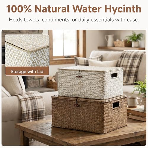StorageWorks Wicker Baskets with Lid, Seagrass Storage Baskets for Shelves, Decorative Box with Built-in Handles,White - color: White(Seagrass), size: 15"L × 11"W × 7"H