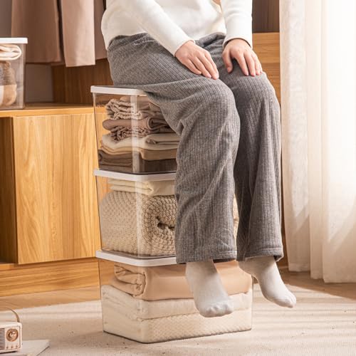 4-Piece Set,Plastic Storage Bin with Lid,Large Storage Containers,Stackable Lidded Storage Boxes for Cabinets, Clothes, Toys, Books (clear 4XL(with wihte lid)) - color: clear 4XL(with wihte lid)