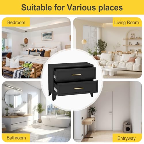 24.8" Tall Metal Dresser for Bedroom, 2 Drawer Nightstand, Side Table, Under Desk Steel Storage Drawer Cabinet, File Drawer for Home Office,Living Room, Entryway, Hallway - color: Black, style: Wide Style/2 Drawers