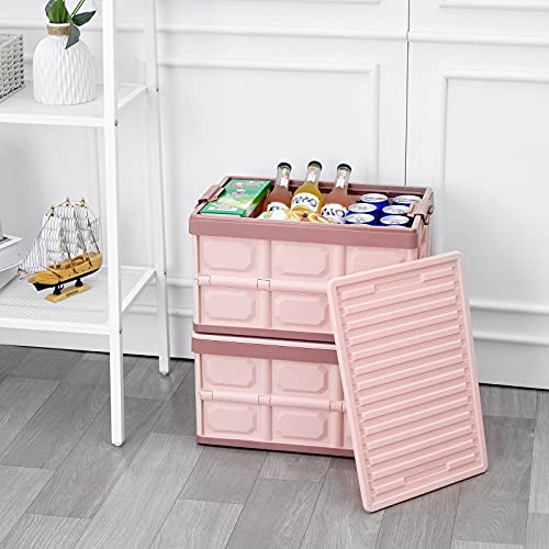 Pink Collapsible Storage Bins with Lids 2-Pack, Folding Plastic Stackable Utility Crates 30L, Durable Containers for Home & Garage Organization - color: Pink