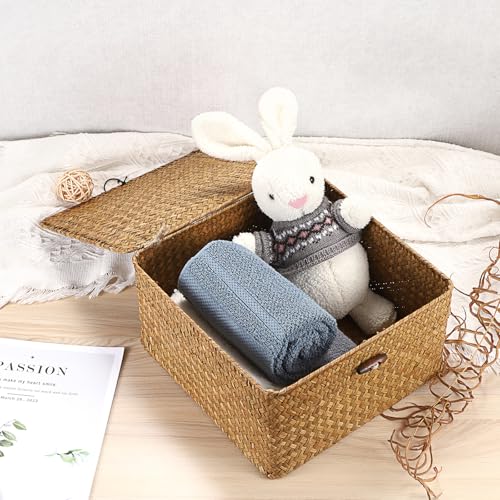 Hipiwe Handwoven Seagrass Basket Bin Square Household Storage Container with Lid Wicker Shelf Basket Bin for Bookshelf Living Room Bath Room, Large Caramel - color: Caramel, size: Large