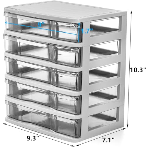 DEAYOU 5 Drawer Desktop Storage Bin Unit, Small Plastic Organizer, White Frame with Clear Drawer, Mini Container Case for Desk, Storing Craft, Accessory, Stationery