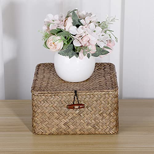 Hipiwe Wicker Shelf Baskets Bin with Lid Handwoven Seagrass Storage Basket Container Square Multipurpose Household Basket Boxes for Shelves and Home Organizer, Coffee Small - color: Coffee, size: Small