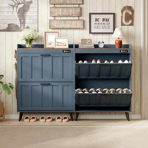 ChooChoo Shoe Storage Cabinet with 2 Flip Drawers, Deodorizing Shoe Organizer Storage for Entryway, Freestanding Hidden Slim Narrow Shoe Rack Cabinet, Blue - color: Blue, size: 2-Drawers