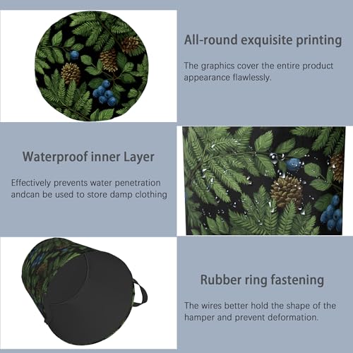 Ferns Blueberry Laundry Basket,Nuts Foldable with Handles Tote Bag Oxford Cloth for Bathroom Bedroom Dirty Clothes Storage Bucket 16" x 20.8" - color: Ferns Blueberry Nuts
