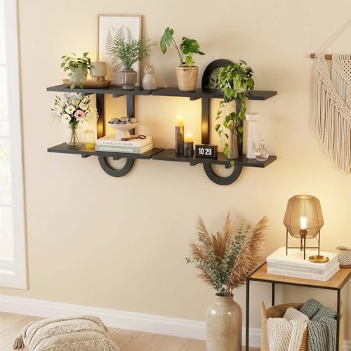 Floating Shelves, 2Pcs Wall Mounted Shelves with 2-Tier Bathroom Hanging Storage Shelves Set for Living Room Bedroom Bathroom Office Kitchen, Black - color: Black