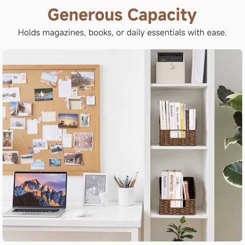 StorageWorks Wicker Baskets for Organizing, Pantry Organizers and Storage, Round Paper Rope Storage Basket for Pantry Shelves, Brown, 2 Pack - color: Dark Brown(Paper Rope), size: 2x 8½"L x 10"W x 7½"H