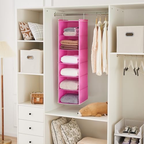 MAX Houser 6-Shelf Hanging Closet Organizer, Hanging Storage Shelves with 2 Sturdy Hooks Space-Saving for Bedroom, Foldable (Pink) - color: Pink