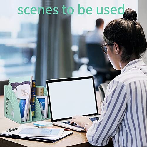 SAYEEC Sturdy Magazine Holder 4 Compartments Plastic Desktop File Organizer File Dividers Office Organizer Storage Document Magaizne Rack Display Box (Green) - color: Green-4 Sections