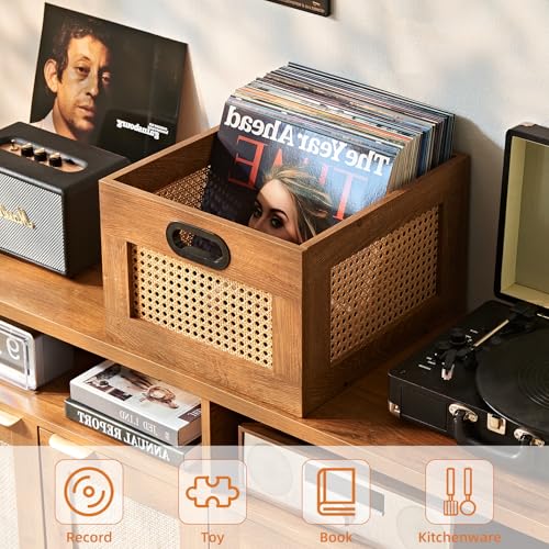 LELELINKY 2 Pack Vinyl Record Storage Crates, Rattan Vinyl Record Holder with Handle, TeaC Record Crate for Vinyls Holder up to 75 LP's, Desktop Cube Album Storage for Vinyls Records - color: TeaC, size: 2 Pack