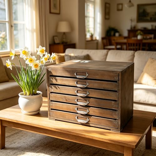Vintage Wooden Desktop Organizer Cabinet with 6-Drawer Rustic Wood Shelf Drawer Antique Card Catalog Cabinet Distressed Decor Jewelry Cosmetics Craft Paper Storage Box for Home Office (Natural Color) - color: Natural Color