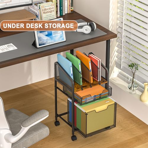 Tiaoheka Rolling File Cabinet with Adjustable Dividers, Mobile Filing Cabinet with 2 Storage Drawers on Lockable Wheels, Hanging File Organizer Beside Under Desk for Office, Home（Patent Pending） - color: Black, size: Large - File Cabinet