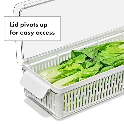 OXO Good Grips Produce Saver – Large Bin - style: Large Bin