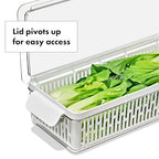 OXO Good Grips Produce Saver – Large Bin - style: Large Bin