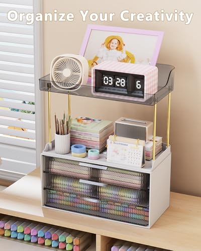 Anylady Bathroom Organizers and Storage, Makeup Organizer (Sturdy Durable Attractive), Ideal for Vanity, Countertop, Counter, Perfume, Skincare, Cabinet, Cosmetic, Dresser Organizer (Black) - color: Black