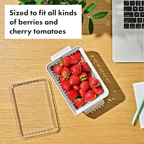 OXO Good Grips Produce Saver - Berry Keeper 2-Piece Set - style: Berry Keeper