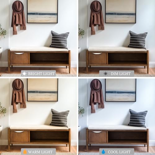 Ink+Ivy Arcadia Entryway Accent Bench with Shelf Shoe Rack, Padded Seating Bench for Living Room, Modern Compact Bed End Bench with Storage for Bedroom Seating, Removable Cushion, 42" W, Walnut Brown
