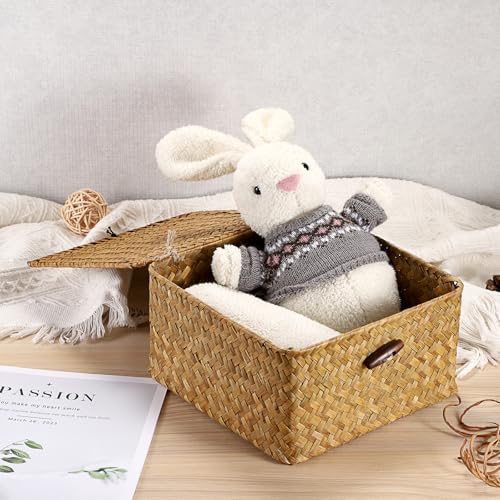 Hipiwe Wicker Shelf Basket Bin with Lid Square Handwoven Seagrass Box Decorative Household Storage Container Multipurpose Organize for Bookshelf Living Room Bathroom, Small Caramel - color: Caramel, size: Small