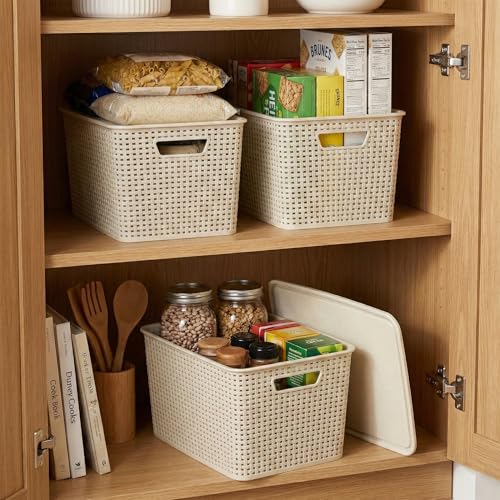 BINO | Plastic Storage Baskets with Lids, 22 Liter - 3 Pack, Natural | THE WOVEN COLLECTION | Storage Basket for Shelves | Woven Storage Baskets for Organizing Bins | Pantry Shelf Organizer Bin - color: Natural, size: 22L | 3-Pack
