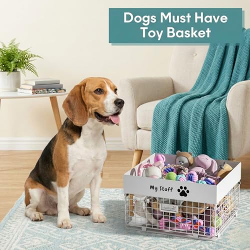 qeerable Dog Toy Box- Metal Toy basket for Dog - Dog Toys Storage Bin for Pet - Personalized Large Dog Toys Basket for Puppy and Pet- White Chew Resistant Dog Toy Chest & Organizer - color: White