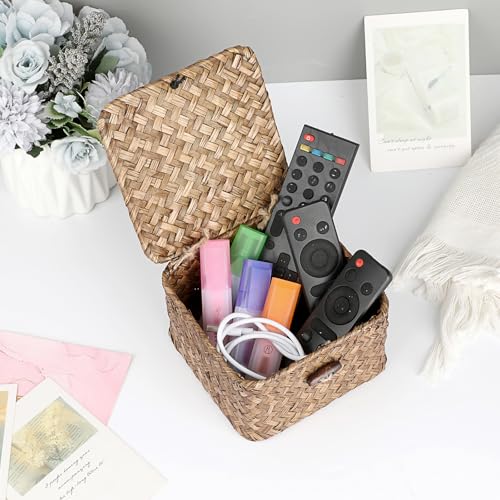 Hipiwe Seagrass Basket with Lid Wicker Storage Basket Square Handwoven Decorative Baskets Box for Shelf Multipurpose Household Baskets Home Decor,X-small - color: Coffee, size: X-small