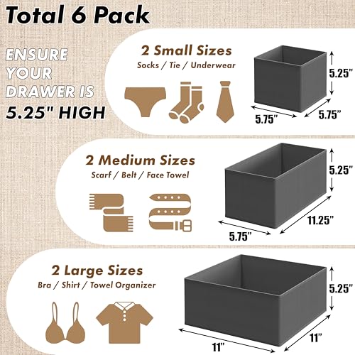 Simple Houseware Underwear Drawer Organizer for Lingerie/Undergarment/Bra/Panty/Sock/Onesie, Set of 6, Dark Gray - color: Dark Gray, size: Set of 6 - 2L / 2M / 2S
