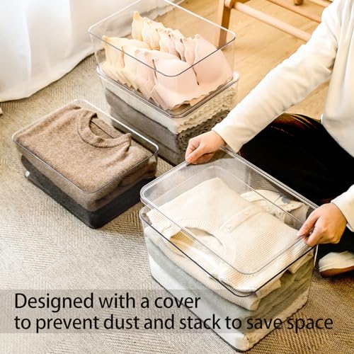 Lidded Plastic Storage Bins Set Clear Desk Basket Box Organizer Kitchen Container Clothes Laundry Closet Cabinet Shelf, Organization and Storage for Shelves Office Bathroom(clear 3XL+2M) - color: clear 3XL+2M