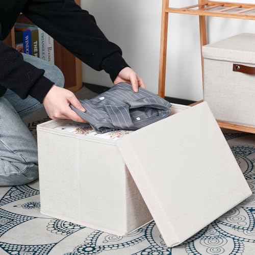 Temary Storage Bins with Lids 2-Pack Large Foldable Storage Baskets with Lid, Fabric Storage Bin for Organizing Home (Beige, 15x11x9.5inch) - color: Beige, size: 15×11×9.5