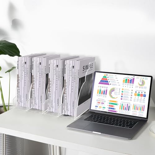 Youeon 2 Size Acrylic Magazine File Holder, Vertical File Organizer for Desk, Clear Magazine Rack, Desk Organizer for File Storage, Books and Magazines, Home and Office Supplies