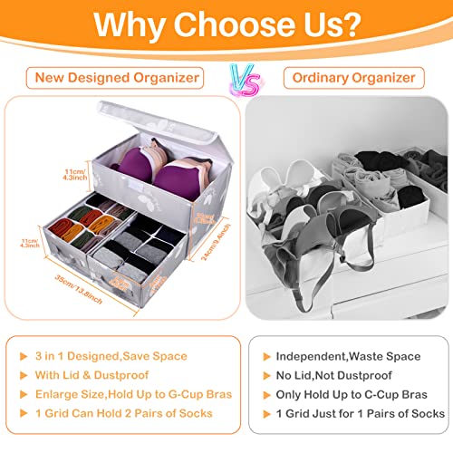 EASEVE 2 Pack Sock Underwear Drawer Organizer Divider - Closet Organizers and Storage Dresser Organizer Wardrobe Clothes Box Storage Bins with Lid for Bra, Socks, Leggings, Shirt, Panty (Grey) - size: 2 Pack